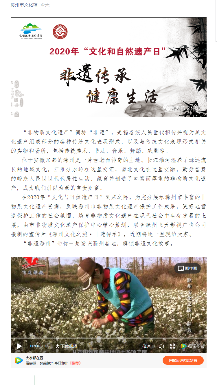 非遗滁州：“传统技艺”之滁菊.PNG